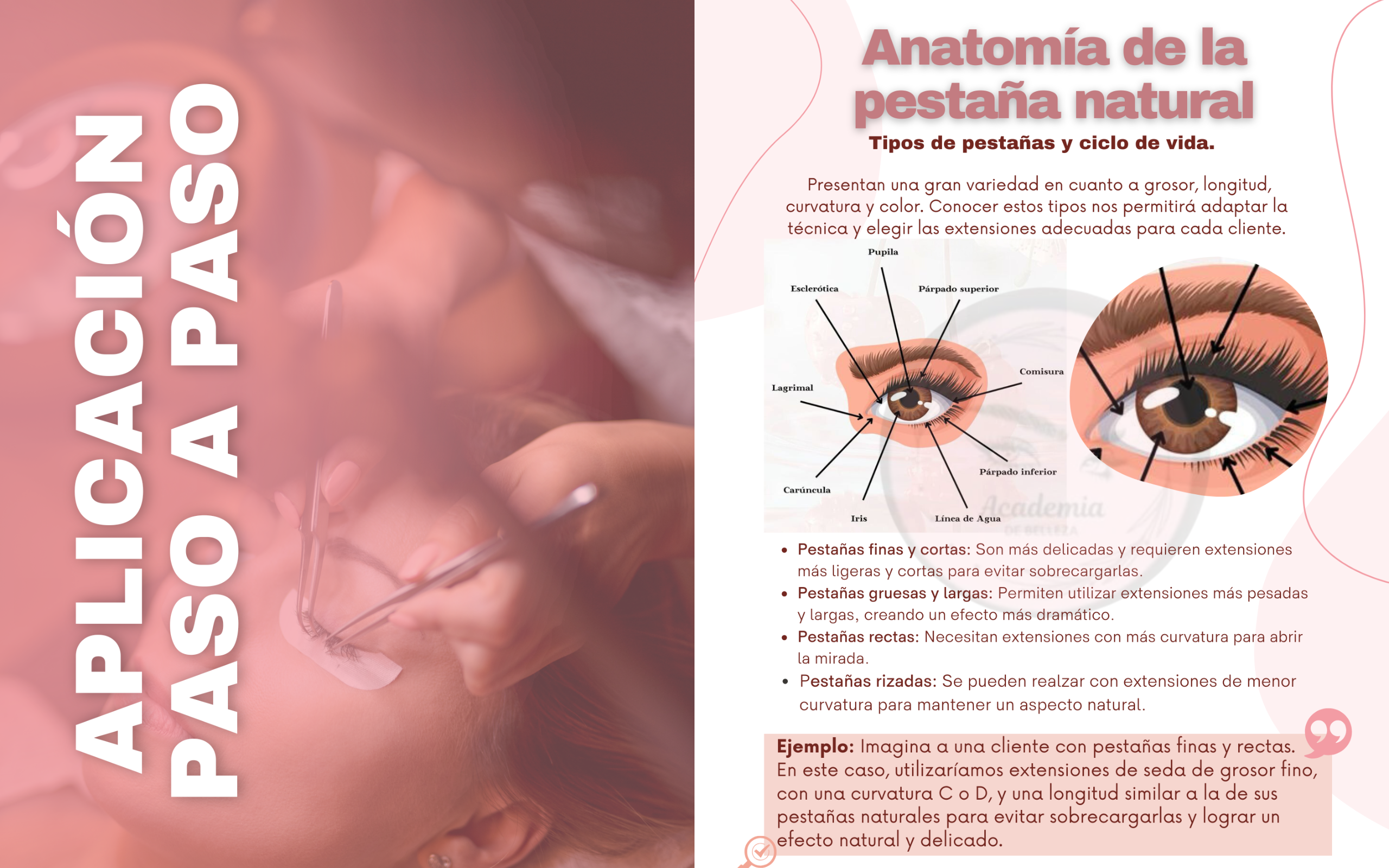 Fundamentos